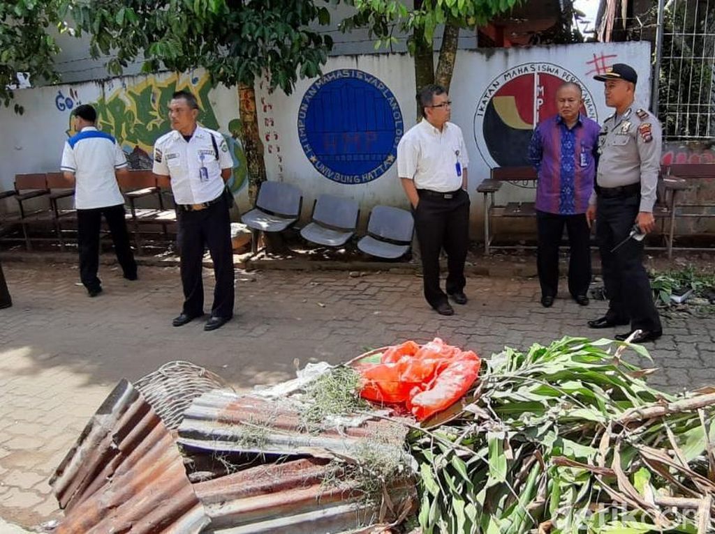 1 Kantong Plastik Ganja Ditemukan Berserakan di Universitas Bung Hatta 1 Kantong Plastik Ganja Ditemukan Berserakan di Universitas Bung Hatta