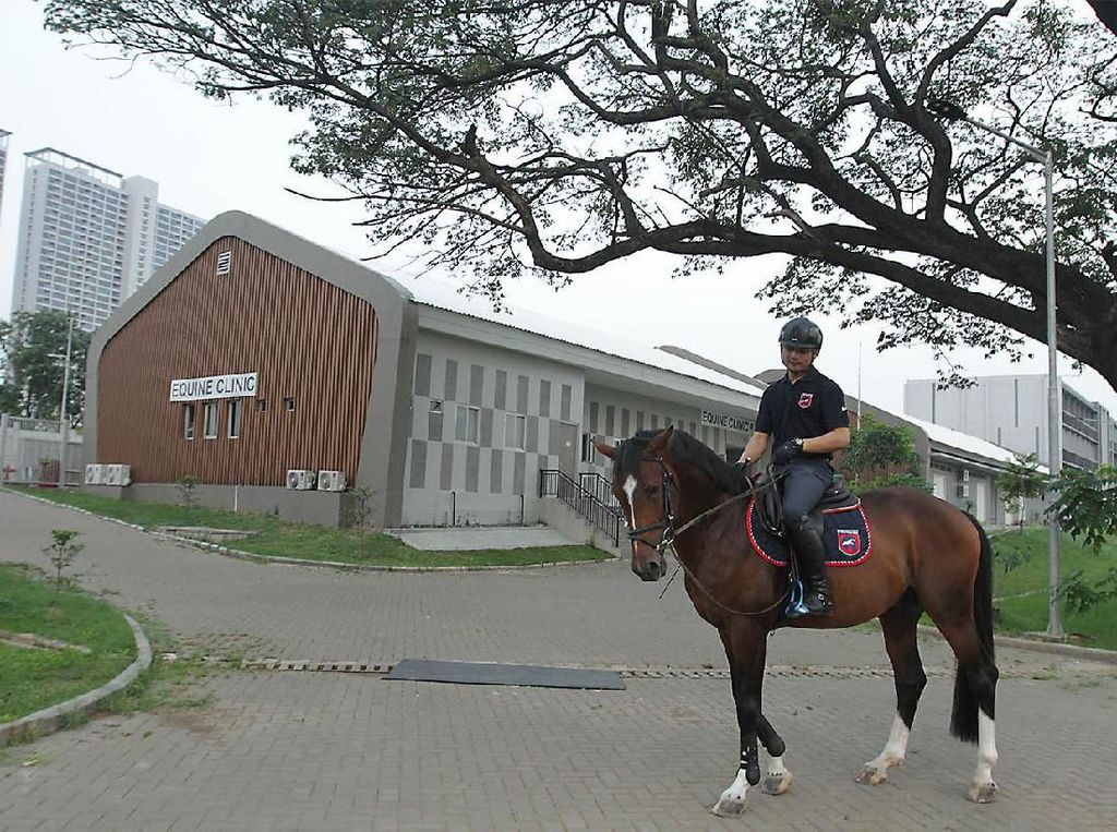 Intip Venue Equestrian Berkelas Internasional di Pulomas