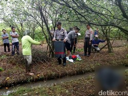 Pemudik asal Banyuwangi Ditemukan Tak Bernyawa di Kebun Jeruk