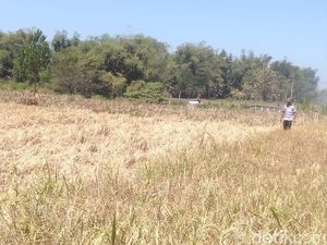 Warga Jatim Siap-siap, Jawa Timur akan Alami 60 Hari Tanpa Hujan Warga Jatim Siap-siap, Jawa Timur akan Alami 60 Hari Tanpa Hujan