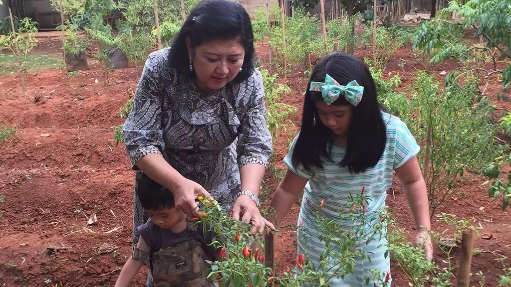 8 Foto Ini Buktikan Mendiang Ani Yudhoyono Senang Berkebun Sayuran dan Buah