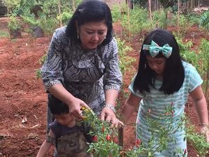 8 Foto Ini Buktikan Mendiang Ani Yudhoyono Senang Berkebun Sayuran dan Buah