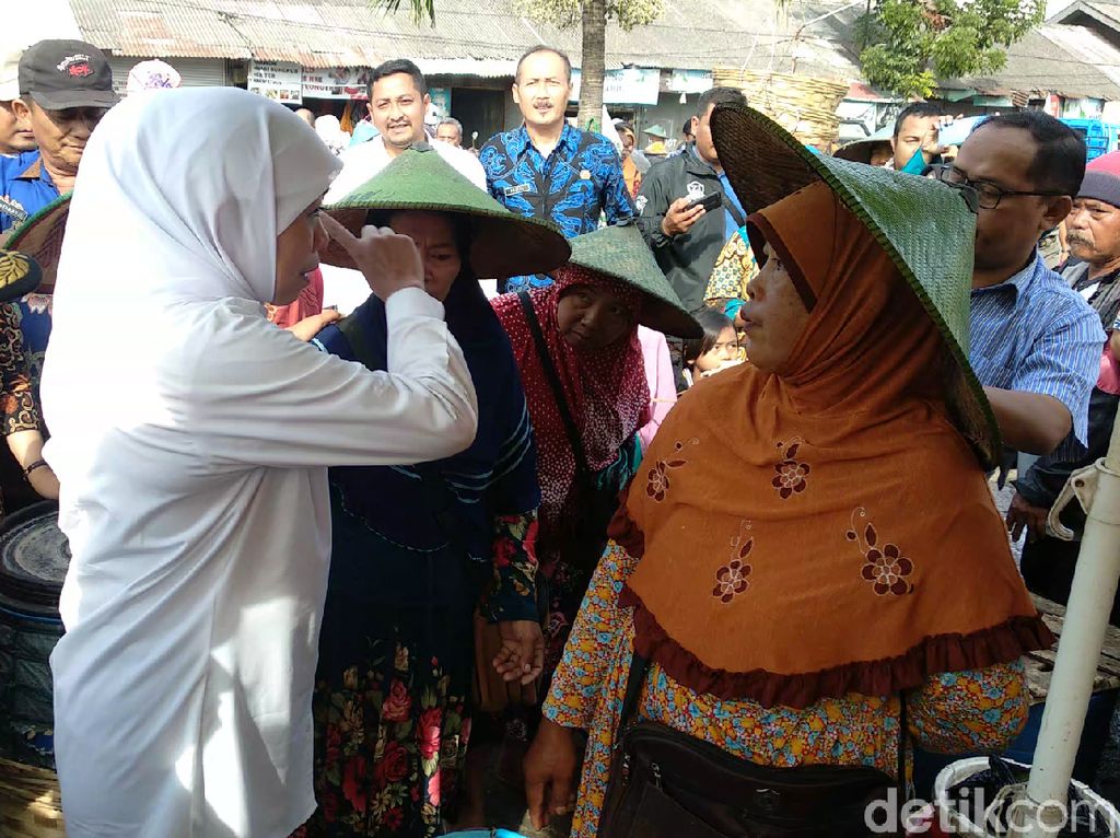 Harga Ikan Bandeng Sempat Anjlok, Khofifah Dengarkan Keluhan Pedagang Harga Ikan Bandeng Sempat Anjlok, Khofifah Dengarkan Keluhan Pedagang
