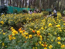 Coban Talun, Tempat Wisata Komplit di Malang