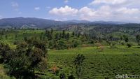 Foto: Pemandangan Cantik dari Bandung Selatan