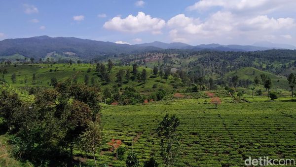 Foto: Pemandangan Cantik dari Bandung Selatan