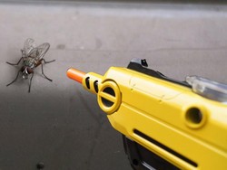 Pria Ini Buat Senapan Isi Air Garam Dapur yang Ampuh Usir Lalat