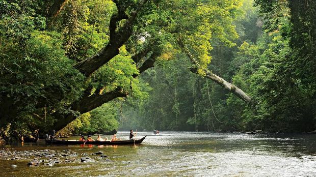 10 Rekomendasi Wisata Safari ala 'The Lion King' di Asia