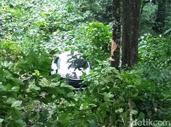 Mobil Masuk Jurang di Jalur Gumitir, Satu Orang Luka