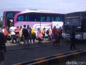 Adu Gengsi di Jalur Bus Muriaan Adu Gengsi di Jalur Bus Muriaan
