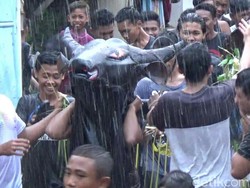 Kemeriahan Tradisi Kebo-keboan Syawal dan Perang Air di Banyuwangi