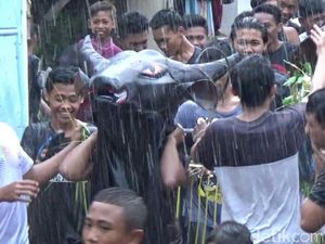 Kemeriahan Tradisi Kebo-keboan Syawal dan Perang Air di Banyuwangi Kemeriahan Tradisi Kebo-keboan Syawal dan Perang Air di Banyuwangi