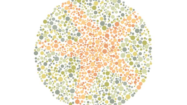 Tes Buta Warna, Coba Tebak Siluet 10 Hewan Laut Ini