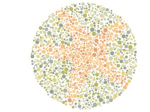 Tes Buta Warna, Coba Tebak Siluet 10 Hewan Laut Ini