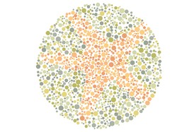 8 Tes Buta Warna, Berhasil Temukan Gambar Hewan Air Tersembunyi?