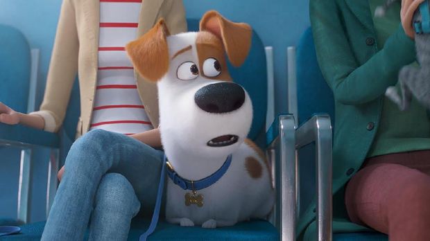 The Secret Life Of Pets 2