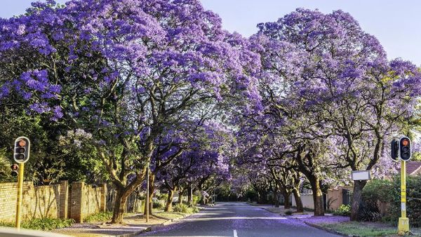 5 Kota Paling Tidak Aman untuk Traveler Wanita, Jakarta di Urutan ke Empat