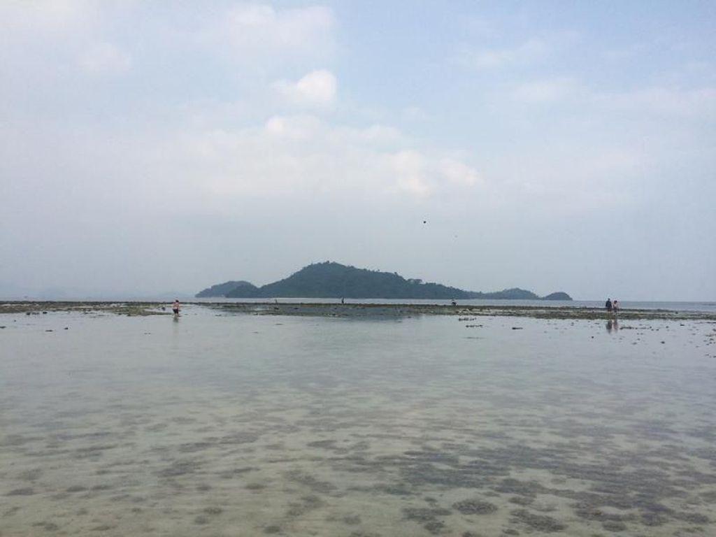 Pantai Sari Ringgung Yang Bikin Mager di Lampung Pantai Sari Ringgung Yang Bikin Mager di Lampung