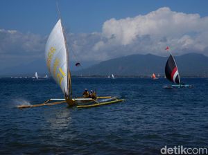 Halalbihalal Nelayan Banyuwangi Diwujudkan Dalam Lomba Perahu Layar