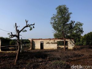 Video: Di Bekasi, 3 Kampung Hilang dan TPU Tenggelam Akibat Abrasi Video: Di Bekasi, 3 Kampung Hilang dan TPU Tenggelam Akibat Abrasi