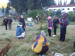 Fenomena Embun Es Pengaruhi Tingkat Kunjungan Dieng