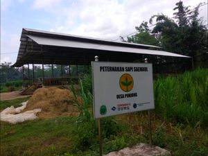 Saemaul Undong di Indonesia