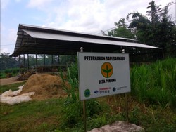 Saemaul Undong di Indonesia