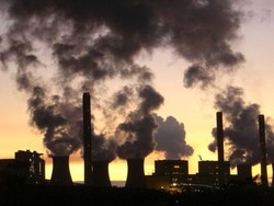 Pengusaha Ikut Bantu Tekan Emisi Karbon, Begini Caranya