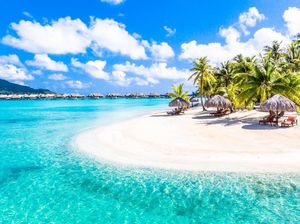 Gile Bener! Tiket PP ke Pulau Bulan Madu Para Artis Seharga Mobil Gile Bener! Tiket PP ke Pulau Bulan Madu Para Artis Seharga Mobil