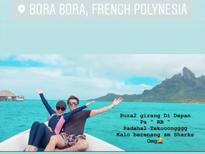 Diajak Renang Bareng Hiu dan Pari, Syahrini Pura-pura Bahagia Diajak Renang Bareng Hiu dan Pari, Syahrini Pura-pura Bahagia