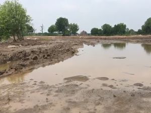 Akses Horor Kampung Belacan Bekasi Menuju Muara Gembong Akses Horor Kampung Belacan Bekasi Menuju Muara Gembong