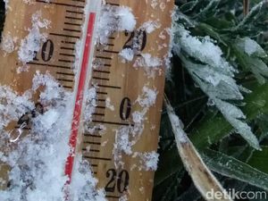 Brrrr...Suhu di Dieng Pagi Ini Minus 1 Derajat, Embun Membeku Jadi Es