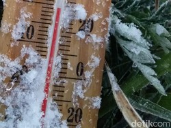 Brrrr...Suhu di Dieng Pagi Ini Minus 1 Derajat, Embun Membeku Jadi Es