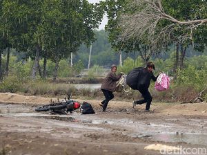 Kelebihan Muatan, Motor Terguling di Jalan Berkubang Kelebihan Muatan, Motor Terguling di Jalan Berkubang