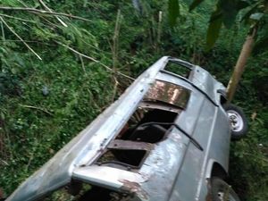 Sebuah Minibus Masuk Jurang 20 Meter di Situbondo, Satu Orang Tewas