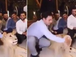 Tampar Muka Singa Pakai Kue Ulang Tahun, Pria Ini Dikritik Pedas