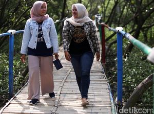 Bersantai di Hutan Mangrove Muara Jaya yang Sejuk