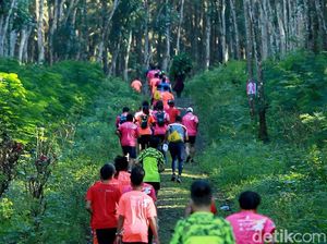 Cegah Corona, Sumatera Jungle Run di Riau Ditunda Cegah Corona, Sumatera Jungle Run di Riau Ditunda