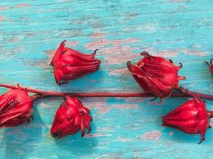 9 Manfaat Rosella untuk Kesehatan, Mau Tahu?