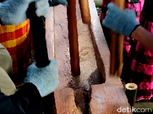 Foto Tradisi Menumbuk Gabah di Maros yang Nyaris Punah Foto Tradisi Menumbuk Gabah di Maros yang Nyaris Punah