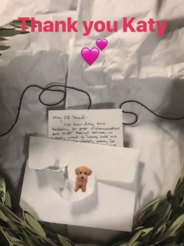 Surat dari Katy Perry untuk Taylor Swift