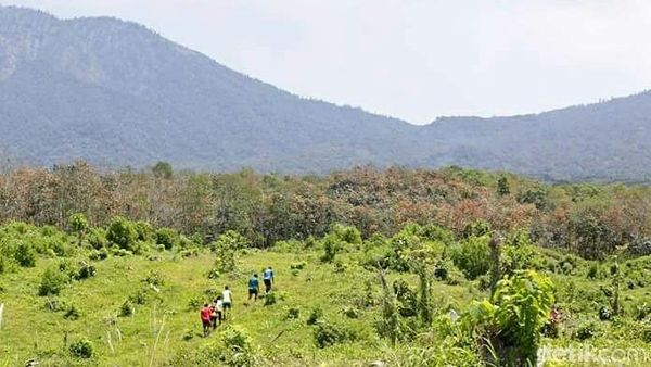 Foto: Indahnya Jalur Lomba Lari di Banyuwangi