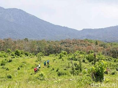 Foto: Indahnya Jalur Lomba Lari di Banyuwangi