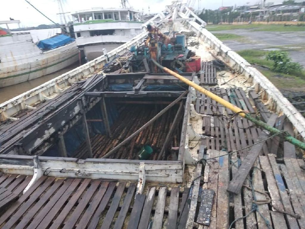 KLHK Sita 30 Meter Kubik Kayu di Kaltim, 2 Orang Jadi Tersangka KLHK Sita 30 Meter Kubik Kayu di Kaltim, 2 Orang Jadi Tersangka