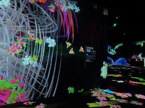 Alasan Indonesia Terpilih untuk teamLab Future Park Alasan Indonesia Terpilih untuk teamLab Future Park