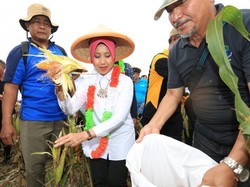 Rekatkan Toleransi, Kemendes Mau Gelar Forum Perdamaian di Situbondo