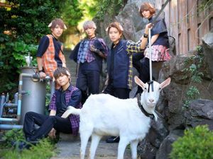 Wow! Ada Kambing Jadi Member Resmi Grup Idola Jepang