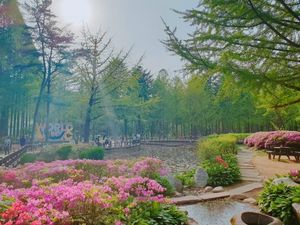 Pulau Nami yang Cantik, Meski Bukan di Musim Gugur