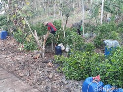 Kemarau di Gunungkidul, Warga Manfaatkan Air dari Bocornya Pipa PDAM