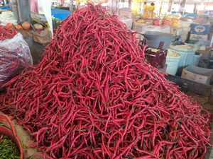 Harga Cabai di Aceh Naik dari Rp 20.000/Kg Jadi Rp 60.000/Kg